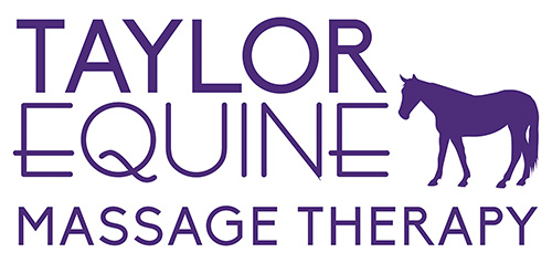 Taylor Equine Massage Therapy